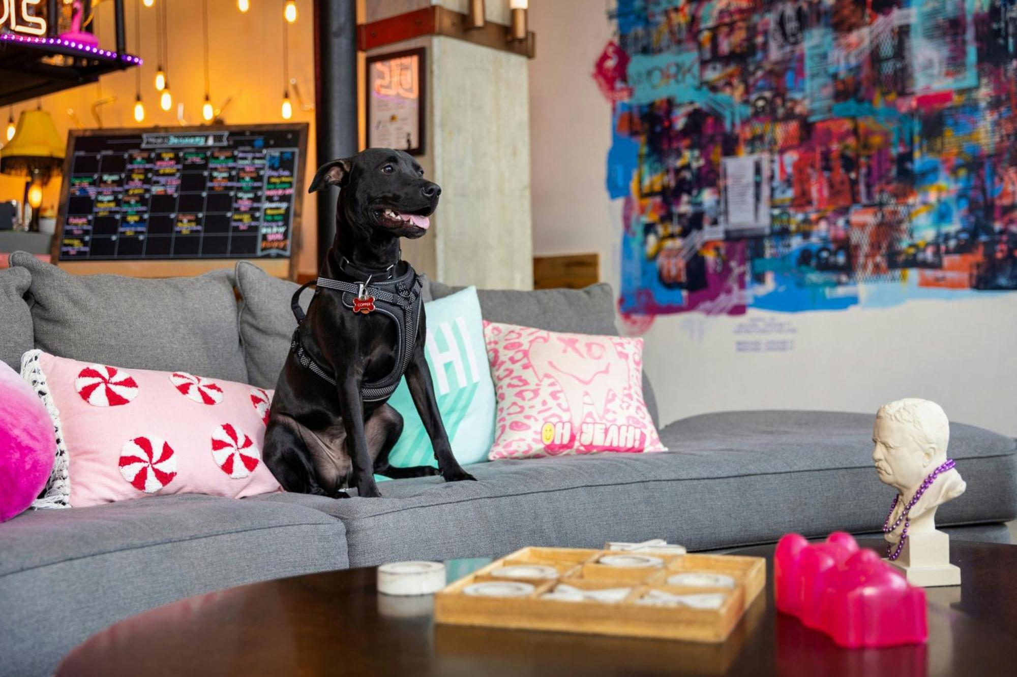Hotel Moxy Washington, Dc Downtown Esterno foto