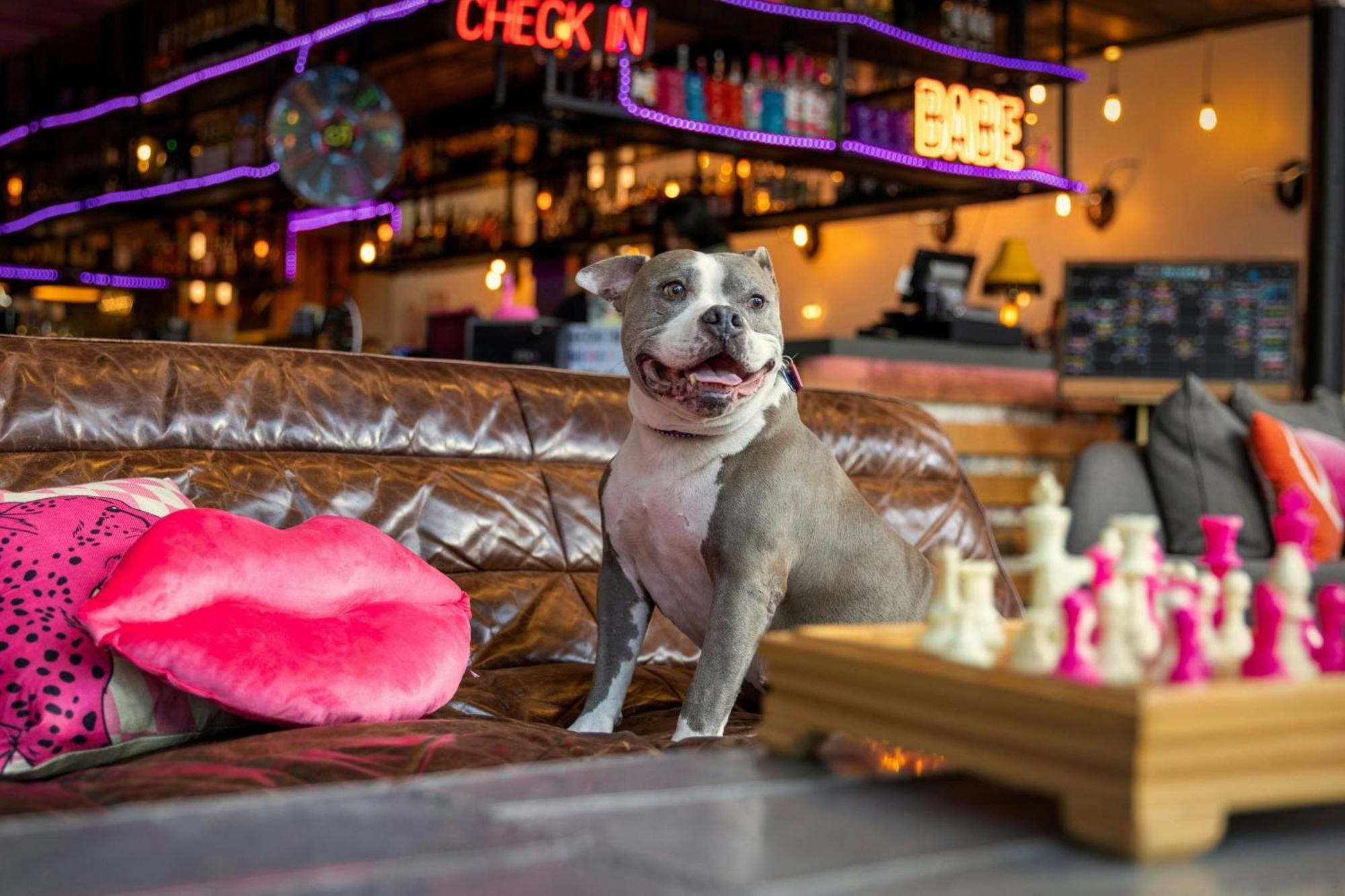 Hotel Moxy Washington, Dc Downtown Esterno foto