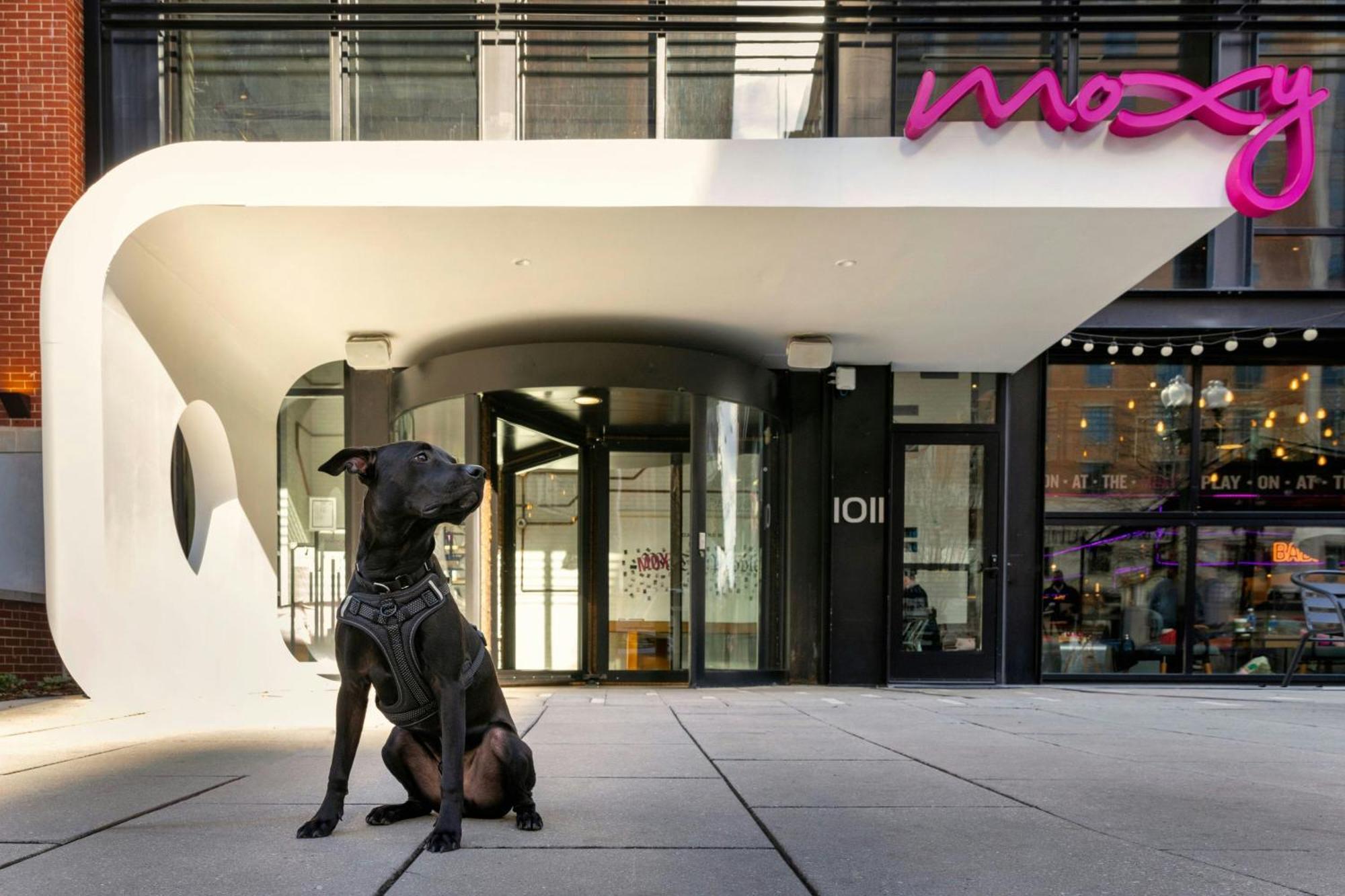 Hotel Moxy Washington, Dc Downtown Esterno foto